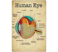 ACAssaCACA Perfect Ophthalmology Knowledge Metal Tin Signs Anatomy Of The Human Eye Retro Poster Doctor Office Education Plaque Decoration Home Room Clinic Wall Art DecorTin Sign 8X12 Inches
