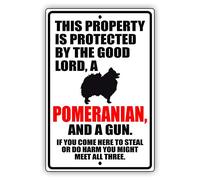 ACASSACACA This Property is Protected by The Good Lord A Pomeranian Dog Unique Novelty Caution Outdoor Warning Notice Hanging Aluminum Metal SignTin Sign 8X12 Inches