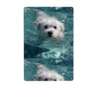 Acbnsll Swimming little white dog Printed Tin decorative painting 8x12in Made of tinplate, wear-resistant and durable