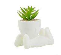 Accarugty Artificial Succulent Plants For Indoor Use, For Bathroom Bedroom Living Room Decorating Spaces With Greenery Without Maintenance(6)