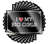 Accent Decal Aesthetic Decals, Guys Cute Pattern Design for Absorbing Notebook | Bottle Removable Vinyl I Love My Big Girls(12X18CM)
