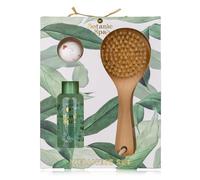 Accentra Botanic Spa Bath Set in Gift Box for Women, 100 ml Shower Gel, 30 g Bath Bomb & Bath Brush, Care Set in Eucalyptus & Lemongrass Fragrance, Wellness Gift Set for Birthday, Mother's Day