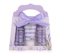 Accentra Women's Shower Set Lavender in Beautiful Gift Box - 3-Piece Care Set with Shower Gel, Body Lotion and Bubble Bath - Wellness Gift Set for Birthday, Valentine's Day & Christmas