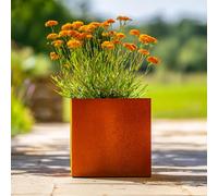 Access Garden Products 40cm Corten Steel Cube Planter with Feet - Pre-Rusted in Terracotta Access Garden Products Terracotta