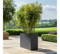 Access Garden Products 90cm Long Zinc Galvanised Matte Grey 60cm Tall Trough Planter Access Garden Products Grey