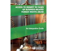 Access to Remedy in Cases of Business-related Human Rights Abuse: An Interpretive Guide