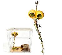 Accessories for Jumping Mantis and Spiders - Magnetic Decoration for Terrarium | Jumping Spider Rest Cave for Climbing and Resting Seeking Food