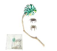 Accessories for Jumping Spider Terrarium | Feeding Toys Pet Habitat - Habitat with Climbing Rope for Jumping Spider, for Mental Stimulation and Enrichment in the Home and Living Room