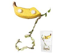 Accessories for Jumping Spider Terrarium | Magnetic Shelter with Fruit Design - or Shelter for Jumping Spiders,for Pampas Turtles Dragons Bearded Geckos and Halloween Grass