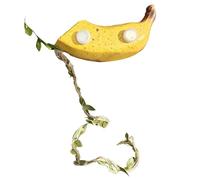 Accessories for Jumping Spiders, Magnetic Hiding Place with Fruit Design, Jumping Spiders House, Halloween, Grass, Pampas, Turtle, Dragon and Bearded Dragon