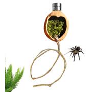 Accessories for jumping spiders, magnetic walnut wood habitat shelter - decoration for the spider terrarium with rope - for breeding lizards tree frogs hermit crabs terrarium