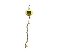Accessories for Jumping Spiders Terrarium, Living Cave for Jumping Spiders, Terrariums Habitat Hiding Accessories for Reptiles Smooth Lizards Arthropods