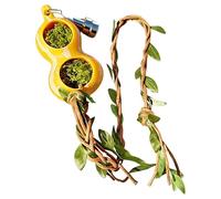 Accessories for Salticide Terrarium | Magnetic Ornament for Reptile Terrarium - Jumping Spider Rest Cave - for Planning Game Climbing Meals Reptiles Spiders Mantis Scorpions