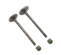 Accessories For Suzuki GN125 GZ125 GS125 DR125 Intake & Exhaust Valves Seals Set For Suzuki GN GZ GS DR 125