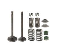 Accessories Replacement Cylinder Head Intake and Exhaust Valve kit Parts Suitable for XR200R XL185S ATC200 ATC200E ATC200ES ATC200M ATC200S ATC200X ATV Motorcycle