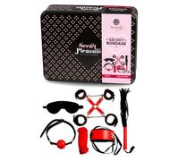 Accessory bdsm kit red secretplay six pieces