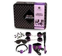 Secret play Secret Bondage 8 Pieces Set BDSM toys Purple