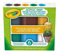 Accessotech Crayola Earth Colours Acrylic Paint Set