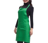 Accessotech Plain Apron with Front Pocket for Chefs Butchers Kitchen Cooking Craft UK Baking Green