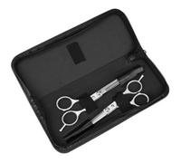 Accessotech Professional Hairdressing Scissor Set 6 Inch Stainless Steel Barber Shears With Case