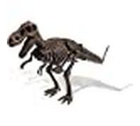 Accessotech T Rex Dinosaur Fossil Digging Excavation Kit Stem Educational Dino Model Set