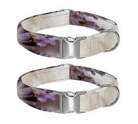 accompanied by blooming flowers Adjustable Pet Collar for Small Medium Large Dogs & Cats, Reflective Strip for Night Safety, Soft Comfort Pad