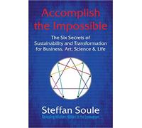 Accomplish The Impossible: The Six Secrets of Sustainability and Transformation for Business, Art, Science & Life: Revealing Wisdom Hidden in the Enneagram