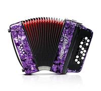 Accordion - 22 keys 8 bass, lightweight piano accordion for beginners, vibrant design for beginners and adults for easy learning (8 Bass, Purple)