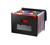 Accordion File Organizer 13/25 Grid Three-Side Sealed Flap Folder, Office Document Storage Bag, Waterproof Design for Home Office(13 Pockets)