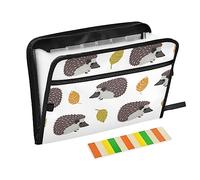 Accordion File Organizer Cute Hedgehog Portable File Box 13 Pockets for Cards Bill Business Document