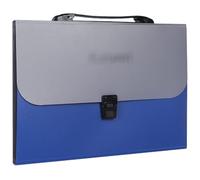 Accordion Filing Folders, Expanding File Folder A4 Handheld Organ Bag Student Organizer Office Storage for Home, and School