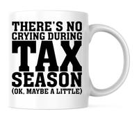 Accountant (No Crying During Tax Season) Drinkware Porcelain Cups Ceramic Tea Mug for Syrup Office Milk 330Ml
