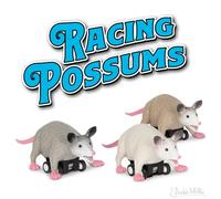 Accoutrements Racing Possums 3 Piece Set