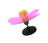 Accurate Peach Blossom Simulation Model Student Learning Tool Suitable for Biology Education and Visual Learning Tools
