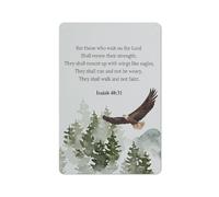 ACDOET Rustic Metal Tin Sign Christian Wall Art,Christian Wall Decor,Bible Verses Wall Decor,Christian Posters,Scripture Wall Decor,Christian Wall Art,Christian Decor,Eagle Decor 8x12 Inch