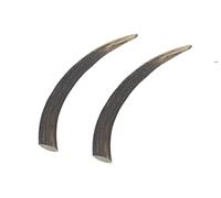 Ace Antlers Deer Antlers for Dogs - 2 x Large Antler Chews - (100-150g each)