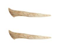 Ace Antlers Deer Antlers for Dogs (2 x Medium Pieces) - Natural Dog Antler Chews for Chewing Satisfaction - 8 Sizes inc Small, Medium and Large Antlers for Puppies and Adult Dogs