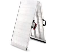 ACE Bikes Pro Max, ramp