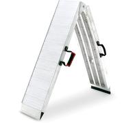 ACE Bikes Pro, ramp