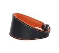 Ace Comfy Leather Dog Collar Lined with Soft Leather suitable for Saluki, Lurcher Hounds, Afghan hounds, whippets & Greyhounds: (16" Collar- Will Fit 12" to 14").