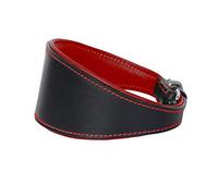 Ace Comfy Leather Dog Collars Padded And lined with Lamb's Leather: (18" Collar - will fit 14” to 16”).