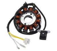 ACE137 12 Pole Stator Compatible With GY6 125cc 150cc Engine 152QMI 157QMJ Scooter Moped Replaces GY150-3043 ACE137