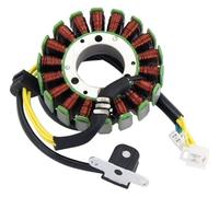 ACE137 18 Pole Small Stator Coil Compatible With 250cc 260cc 300cc 400cc Engines Replaces MIYP250-5040A For Scooter ATV ACE137