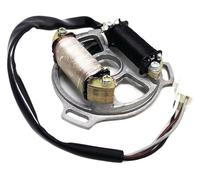 ACE137 Magneto Stator Plate 2-Pole Coil Compatible With D1E41QMB TB50 TB60 Scooter Engine ACE137