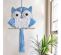 ACEDSGN Boho Macrame Wall Hanging Owl Large Dream Catcher 30X66CM Handwoven Tapestry Bird Nursery Home Wall Decor for Bedroom Livingroom Office - Cornflower Blue