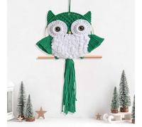 ACEDSGN Macrame Owl Wall Hanging Large Handwoven Tapestry Bird Dream Catcher 30X66CM Boho Nursery Decor Chic Home Wall Decor for Bedroom Livingroom Office -Green