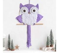 ACEDSGN Macrame Owl Wall Hanging Large Handwoven Tapestry Bird Dream Catcher 30X66CM Boho Nursery Decor Chic Home Wall Decor for Bedroom Livingroom Office -Violet
