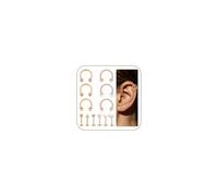AceFun 16G Cartilage Earring Daith Tragus Helix Conch Piercing Jewelry Labret Lip Piercing Horseshoe Ring Curved Barbell 12 Style