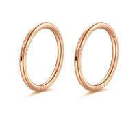 AceFun 20G Nose Ring 2 pieces Rosegold nose ring 8mm Stainless Steel Clip on nose ring Septum Piercing Jewelry Hinged Segment Ring Body Piercing Nose Hoop Lip Rings Helix Cartilage Rook Earrings