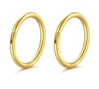 AceFun Small Thin Nose Ring, 10mm Stainless Steel Hoop Hinged Clicker Segment Helix Cartilage Daith Tragus Earrings Body Piercing Jewelry for Women Men